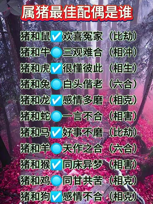 属猪火命的人，1995年属猪是火命还是木命，找什么命相配最好呢？