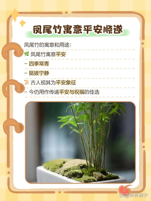 竹子对风水有何具体影响？