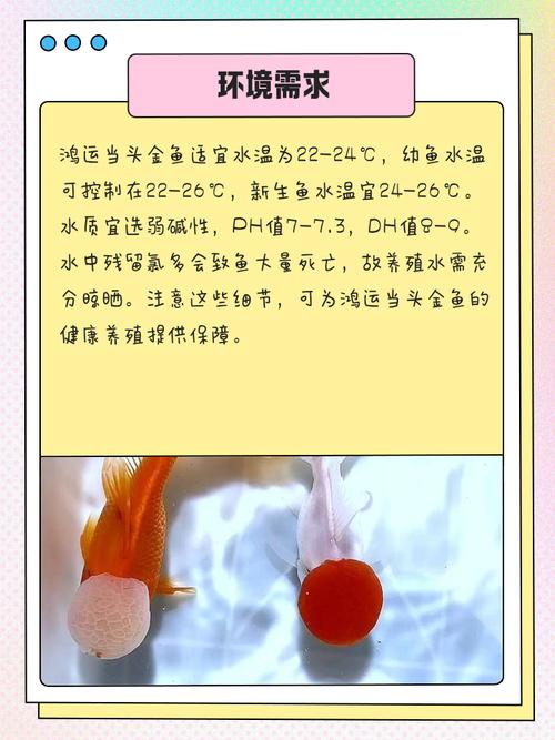 风水鱼嫩否安全养大，其体内是否有毒成分？