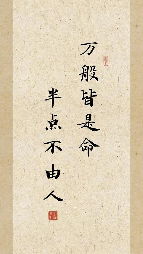 这就是命，都是命，这句话表达了什么意思？