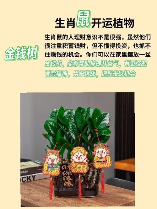 哪种植物象征着命途多舛，十二生肖各自的本命植物是哪些呢？