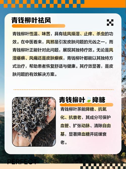 家里种柳树风水好吗？适合所有家庭种植吗？