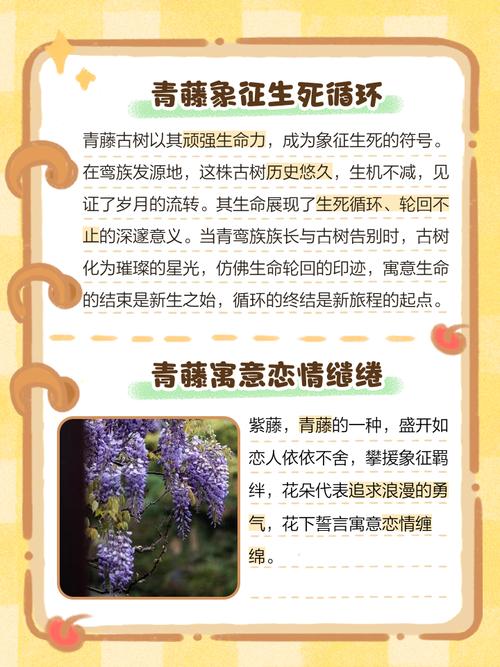 藤蔓植物对风水有何具体影响？