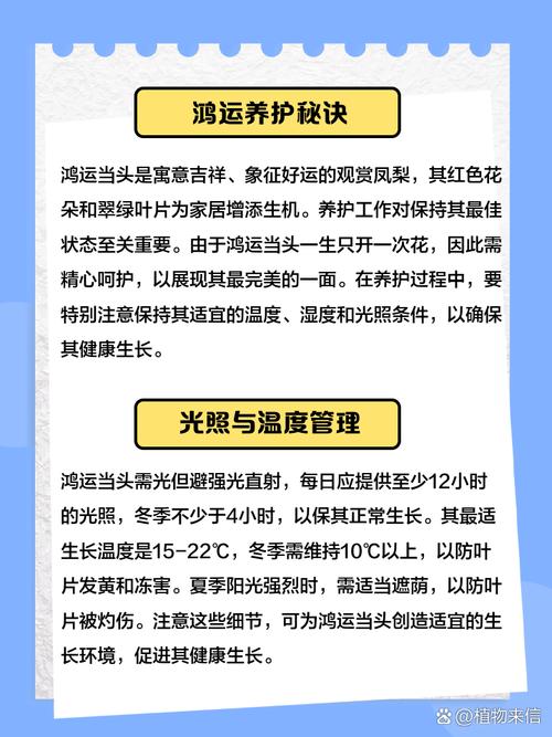 在天上种植花朵，这样的风水环境怎么样呢？