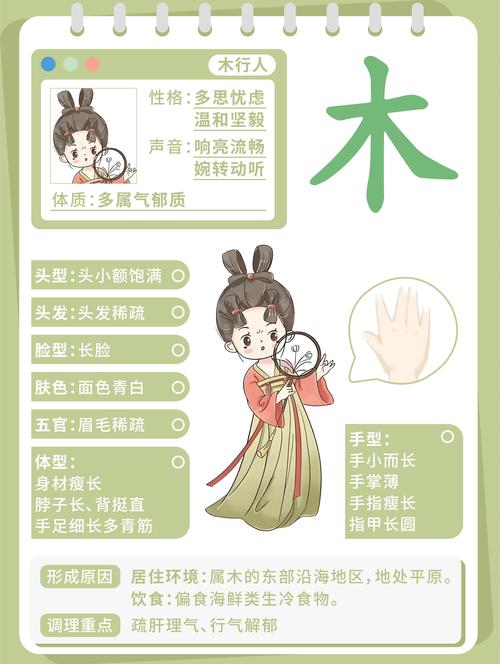 命理中木命代表什么特质？哪些人属于木命？如何改写为木命命理特点及人群分类？
