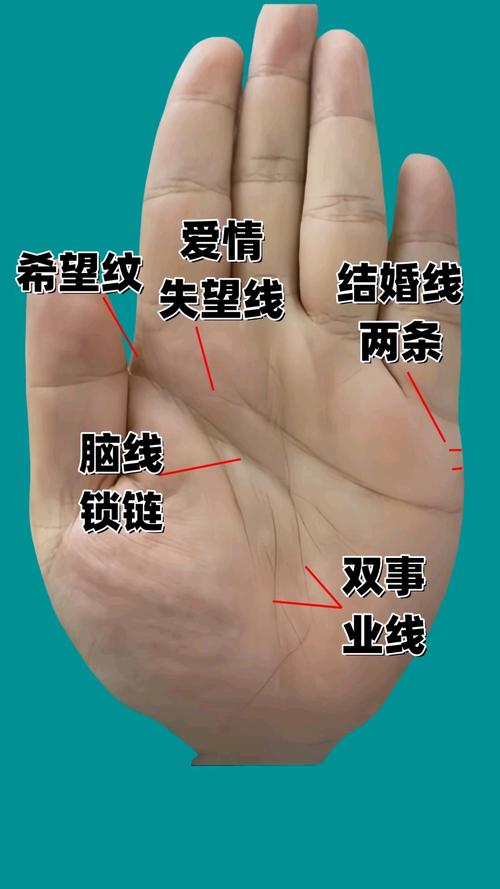 事业线特别长，预示着什么命运或事业前景？