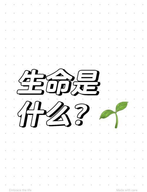 生命的命是什么拼音？为什么会形成生命？这两个问题有什么联系？