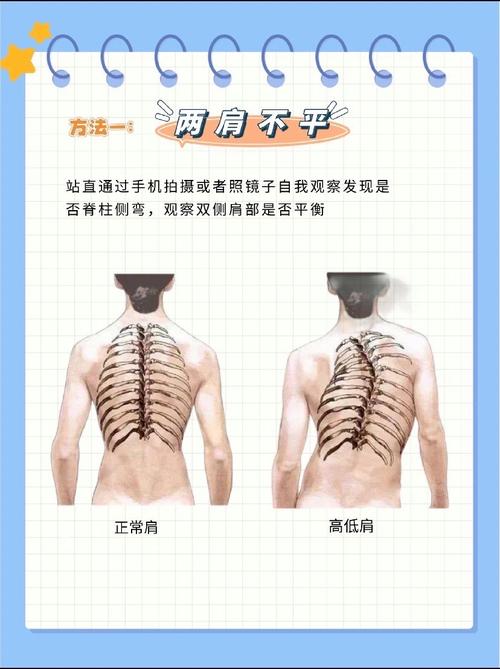 男人肩膀上翘命理如何？高低肩膀相学有何说法？