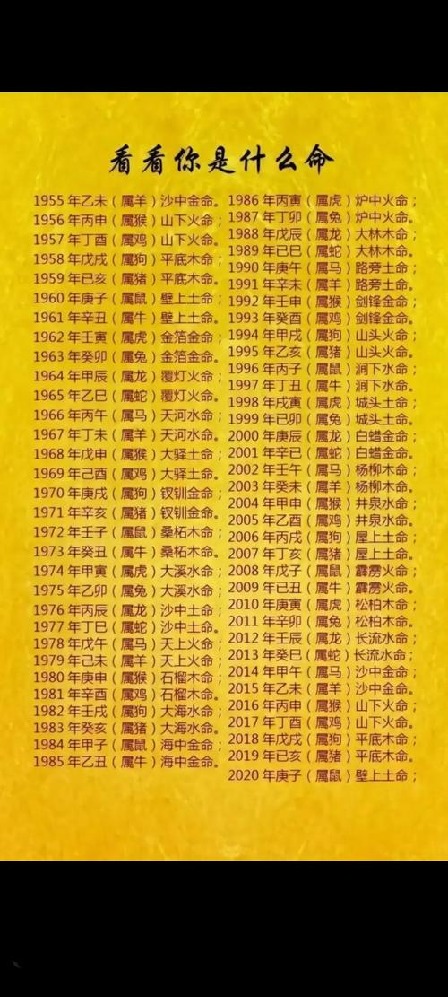 命理属金是什么命格？