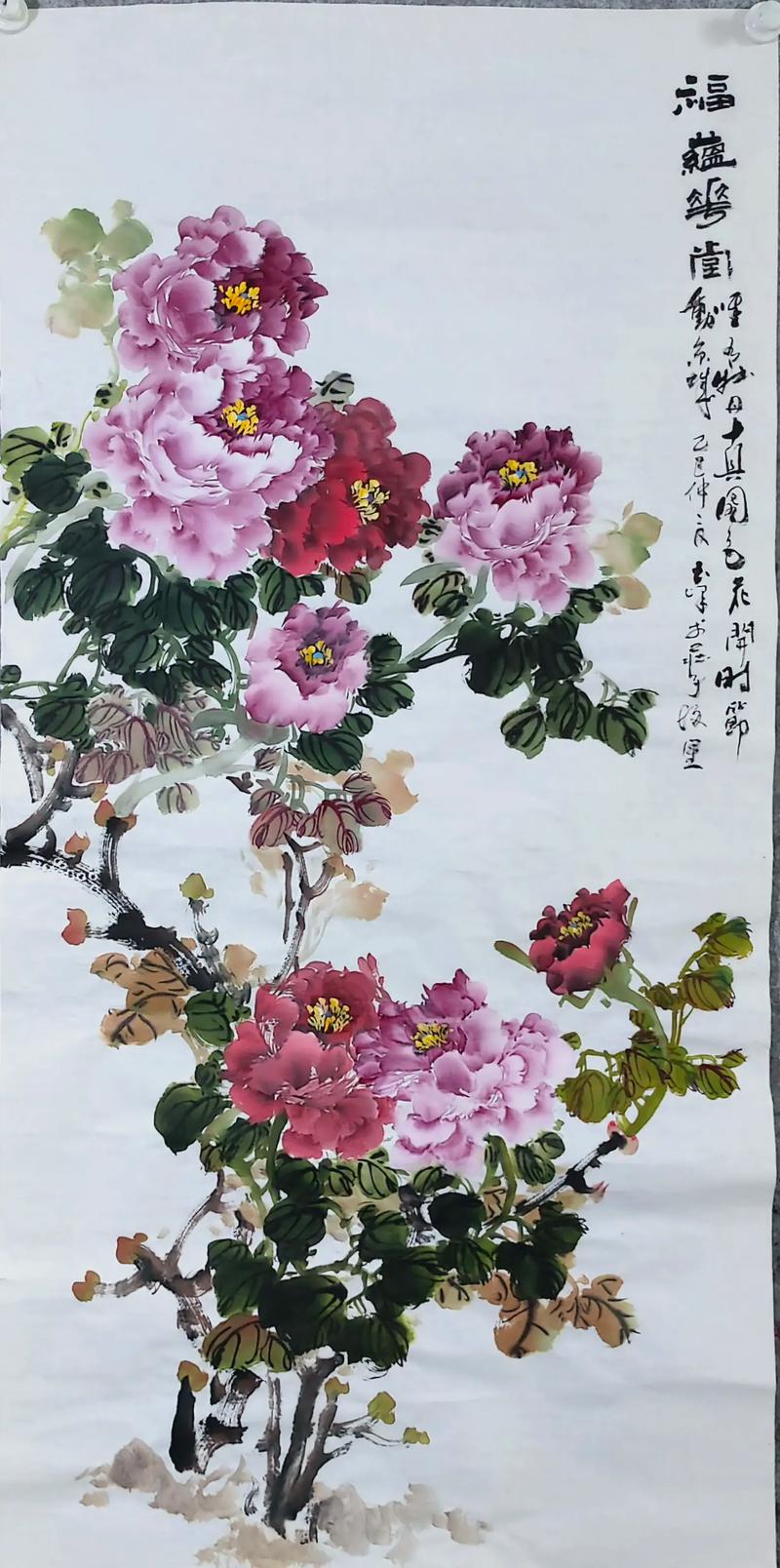 店面适合养牡丹吗？这样的风水布局合适吗？