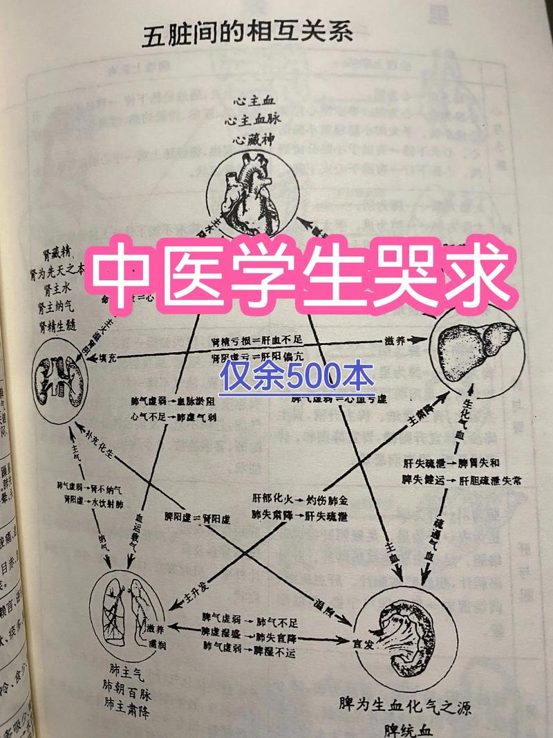 中医改命之法与失传绝学有哪些，至今仍需揭秘？