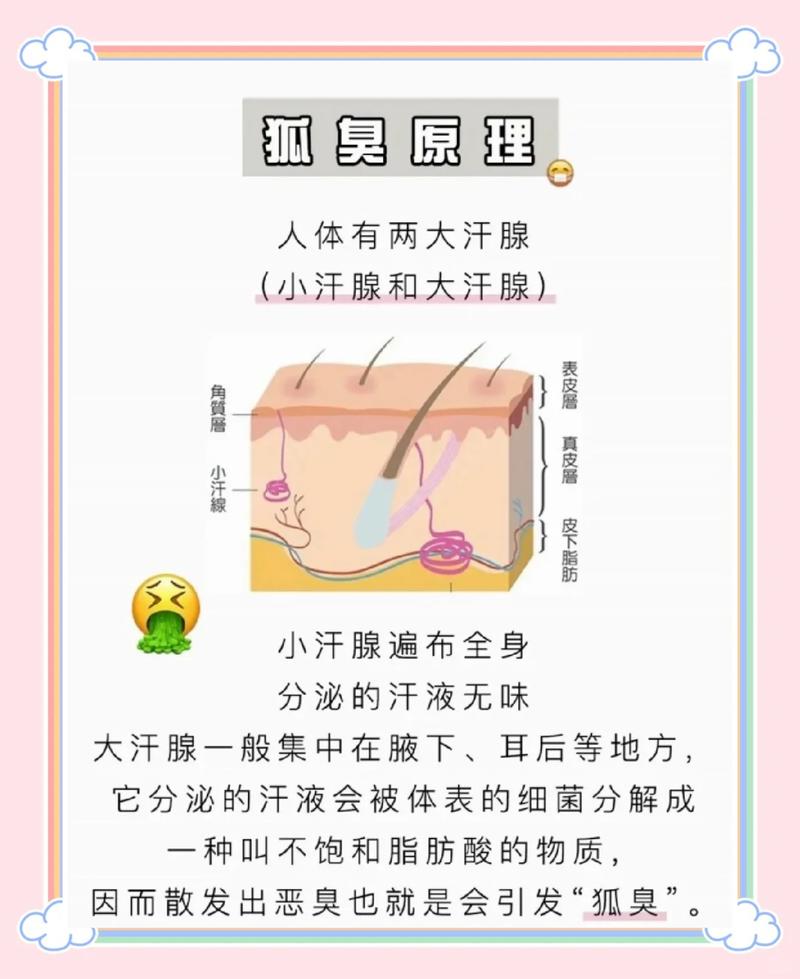 狐臭对风水的影响究竟有多大？是否会对居住环境造成不良影响？