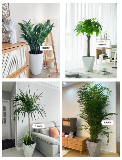 楼房前面种树或摆放鱼缸，对风水有好处吗？