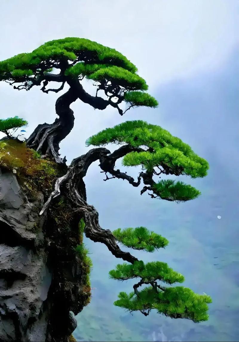 虎松柏木命与什么命蕞配？松柏木命的人命运如何？