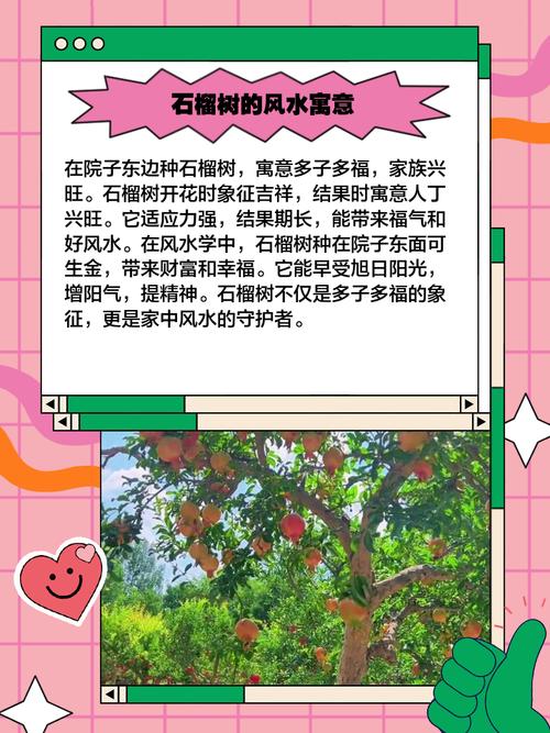 石榴木命和什么命最合适？