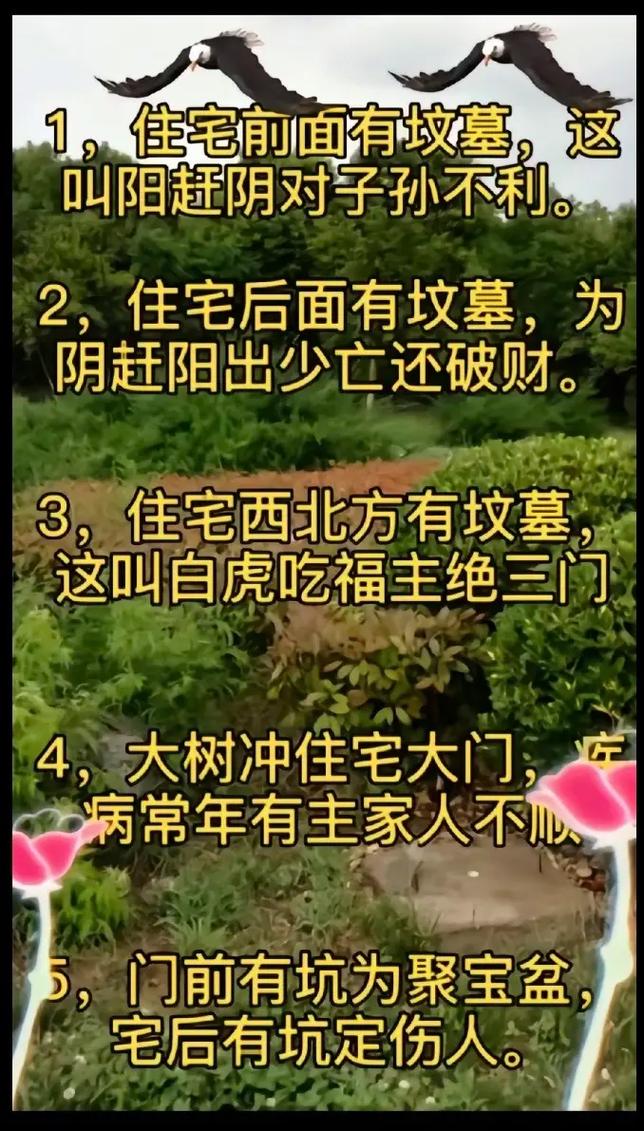 后院环境脏乱是否会对家宅风水产生不良影响？