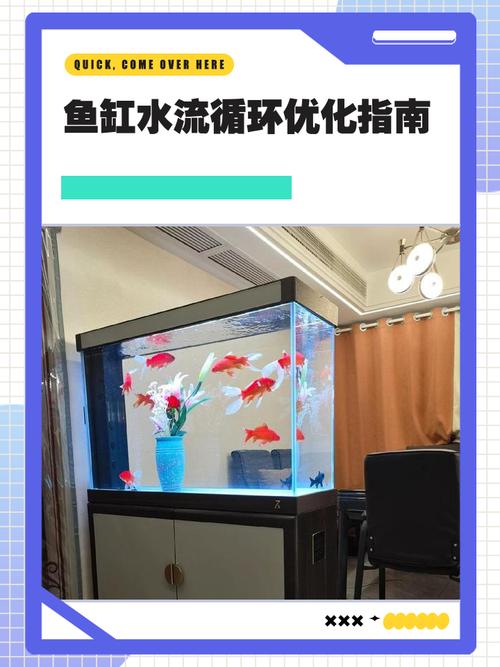 鱼缸中的水流循环是否属于风水学中的活水？