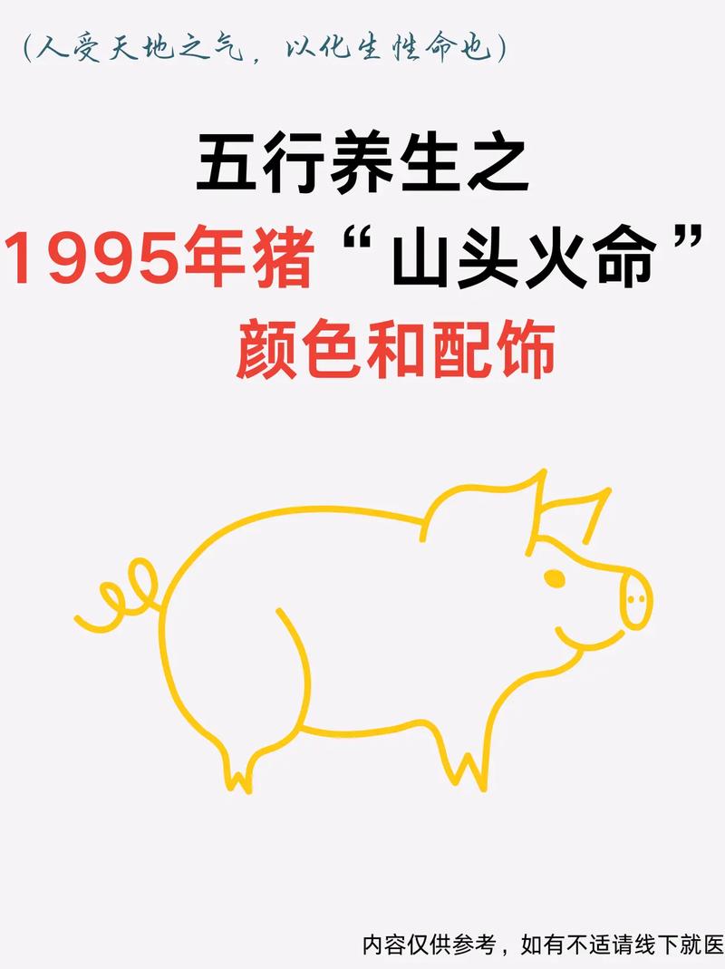 属猪山头火命与哪种命相配？1995年山头火命命硬吗？