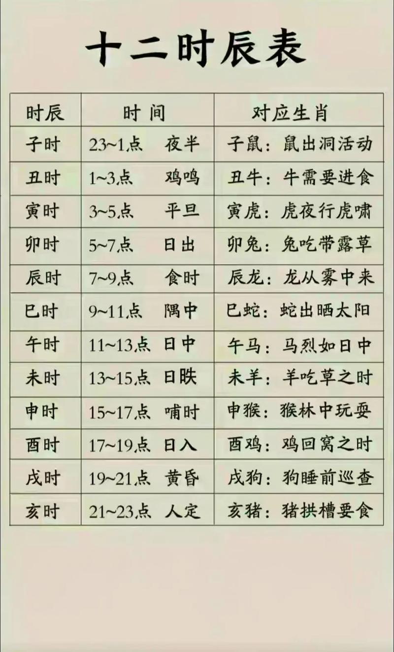 戊寅丁巳壬午是什么命，丁巳时辰对应哪个时间段？