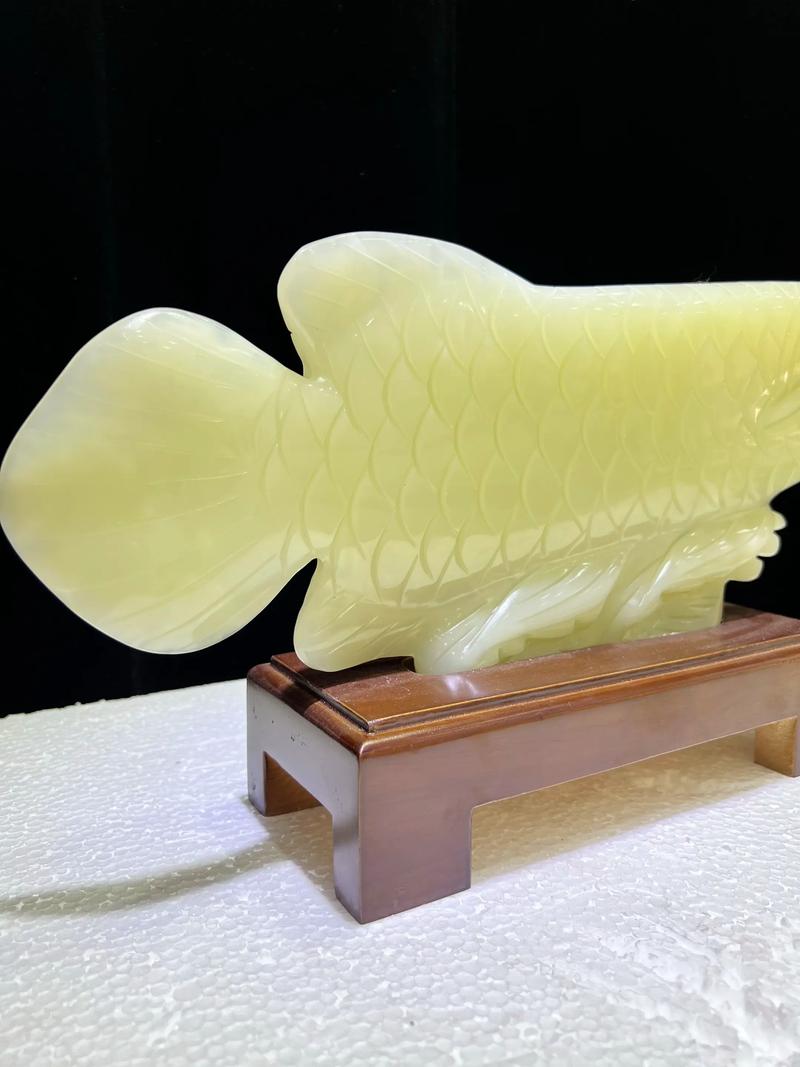 家里摆放金龙鱼摆件合适吗？适合哪些摆件？