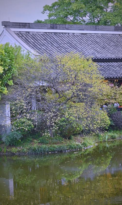 杭州适合哪种命格的人居住？这里环境优美，发展前景如何？