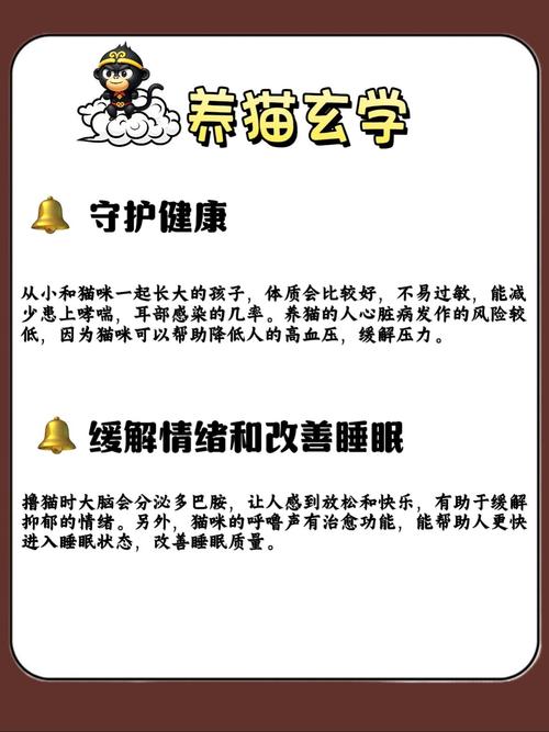 养猫在风水上有哪些讲究和说法？
