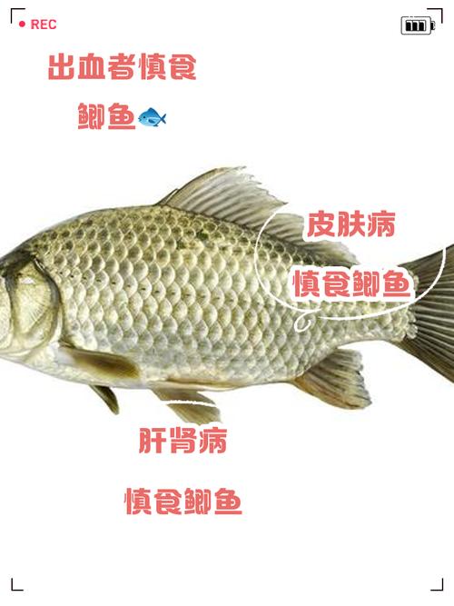 钓鲫鱼过多是否会对家宅风水产生不良影响呢？