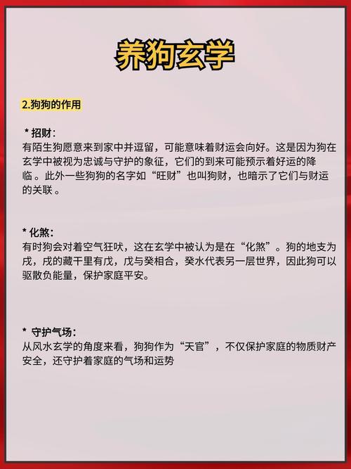 家里养狗对风水布局有影响吗？