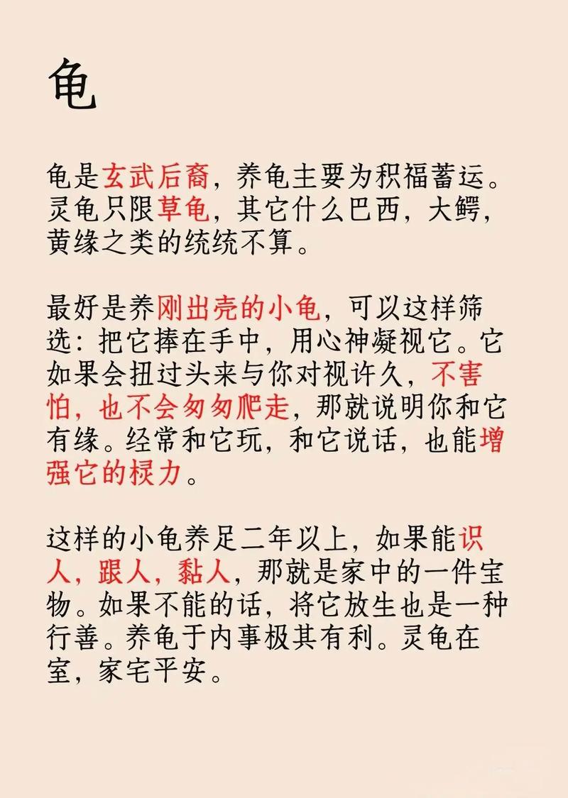 家养宠物风水有哪种说法或讲究呢？
