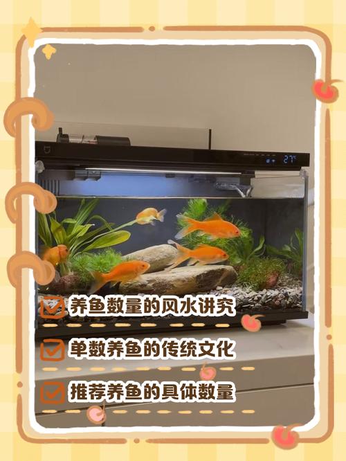 鱼缸捕鱼对家居风水有何具体影响或潜在弊端？