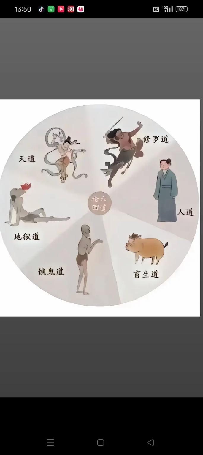 童子命神仙投胎会转世为哪种生物或人类职业？