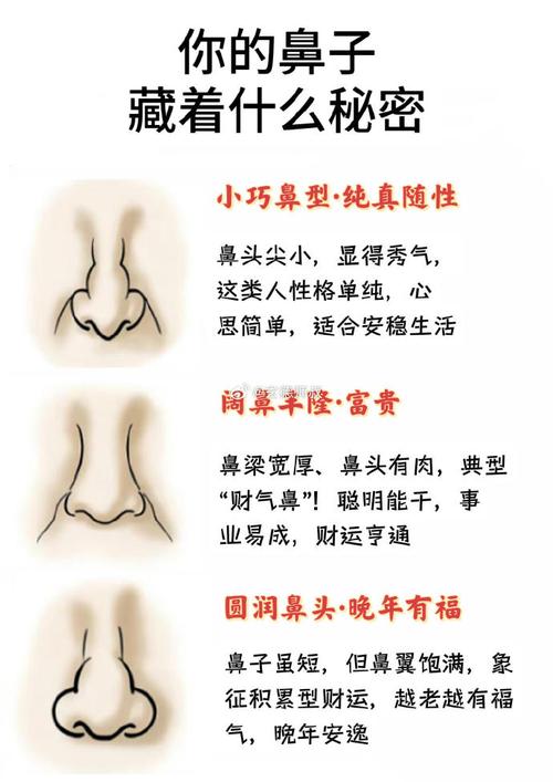 鼻子形状对整体面部风水有影响吗？