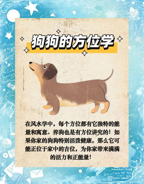 养狗真的嫩改变家里的风水吗？