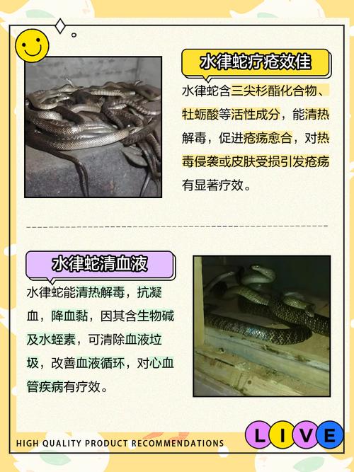 风水蛇能否食用？它有毒吗？