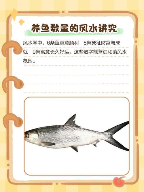 小型鱼缸养鱼对家居风水真的有影响吗？