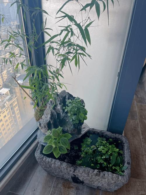 阳台摆放风水石有什么讲究和注意事项？