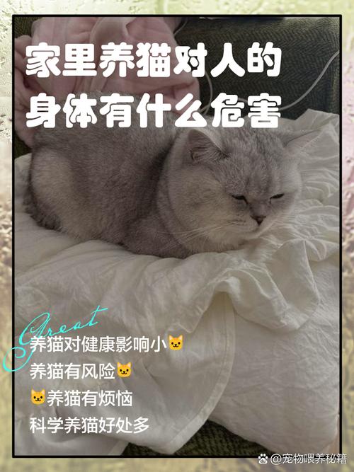 家里养多只猫会对家居风水产生怎样的影响呢？