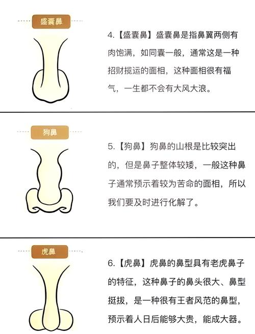 风水上鼻子可以自由活动吗？