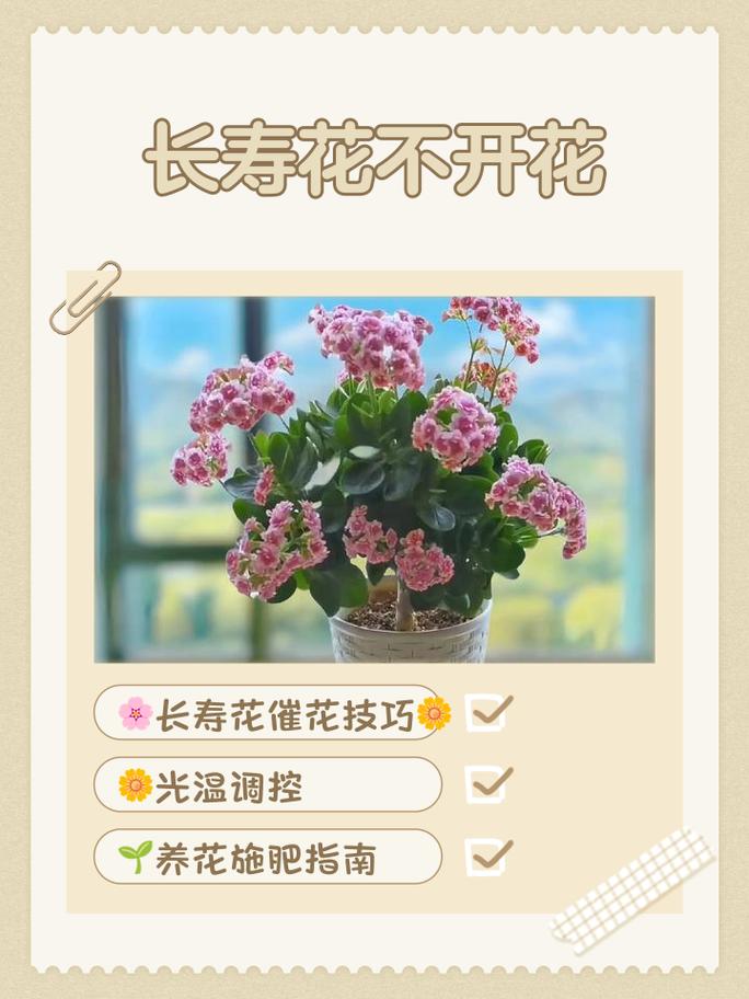 什么命的人适合养花，但养花却不开花，这有什么特殊寓意吗？