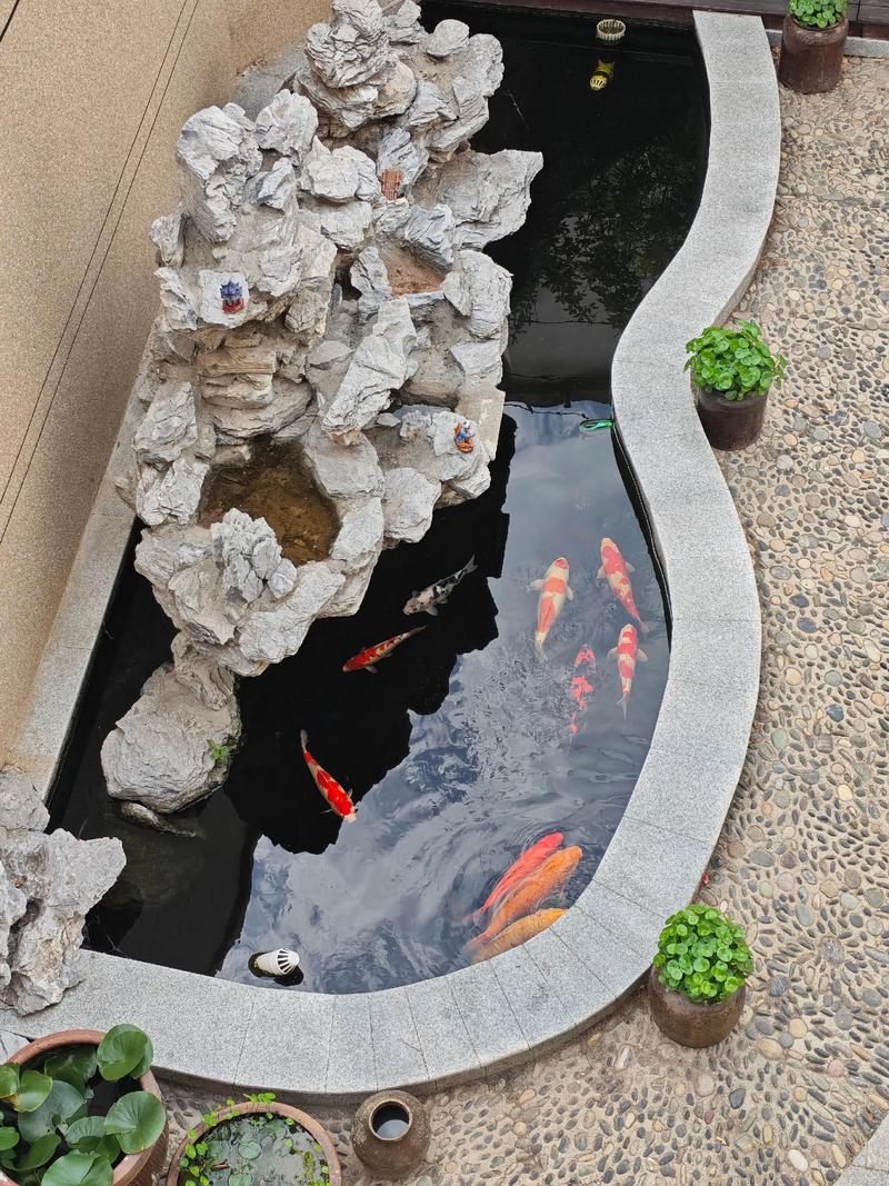 风水阳宅前有池塘，这样的布局是否吉利？