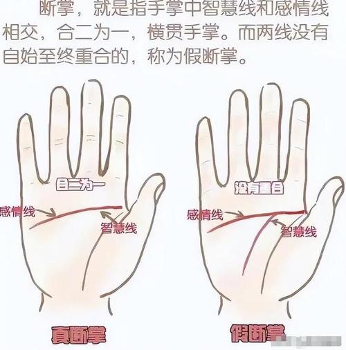 掌纹能透露出什么命运信息？如何通过手掌了解自己的命运？
