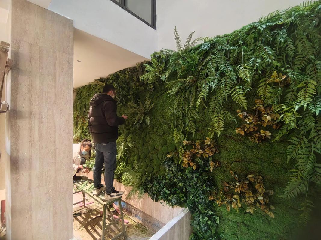 假植物墙对家居风水有怎样的影响或作用？