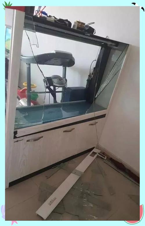 鱼缸裂了风水上究竟有何讲究，会影响家居运势吗？
