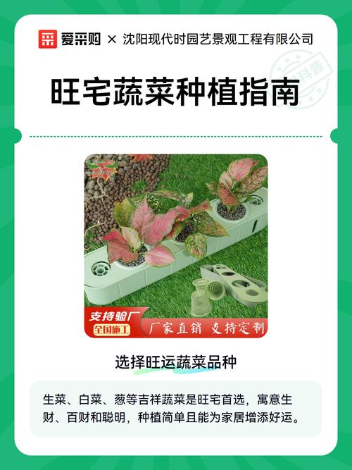 门口右边种菜会对家宅风水产生不良影响吗？