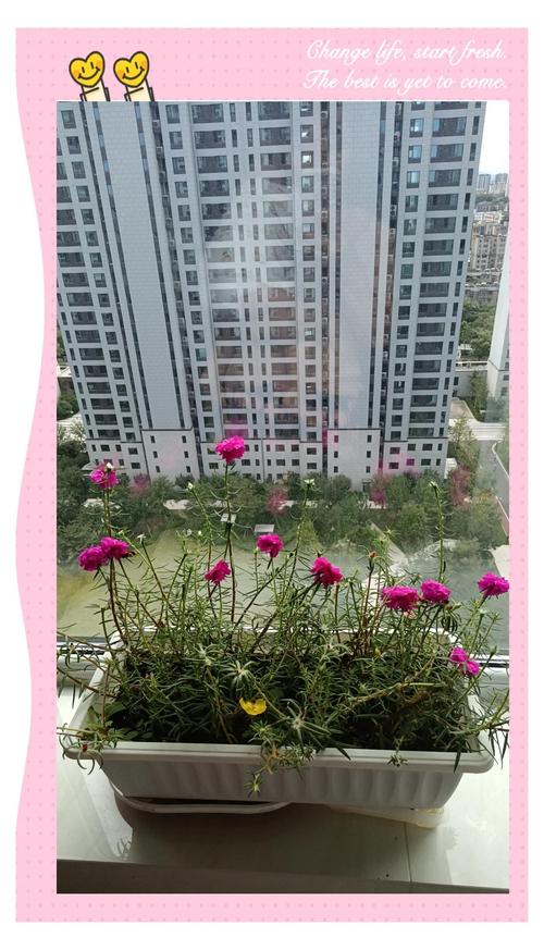 丁火命与哪种命最相配？丁火命的理想出路是什么？