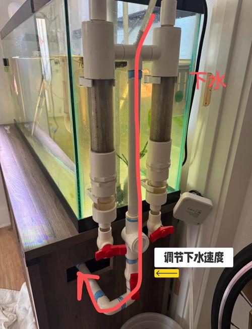 使用马桶养鱼会对家居风水产生怎样的不良影响呢？