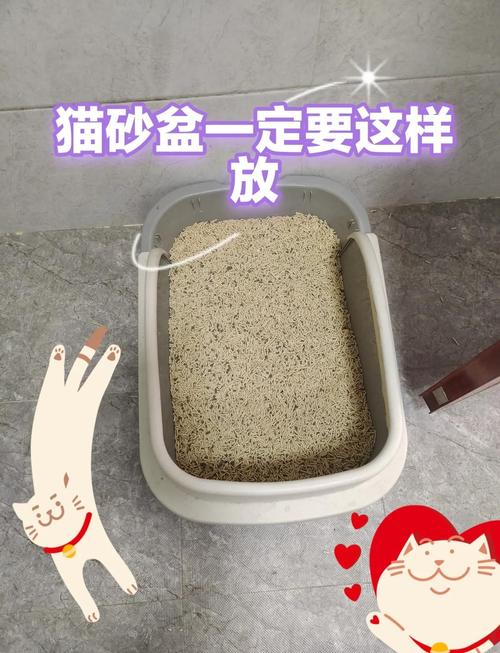 将猫砂盆放置在床边是否会对家居风水产生不良影响？