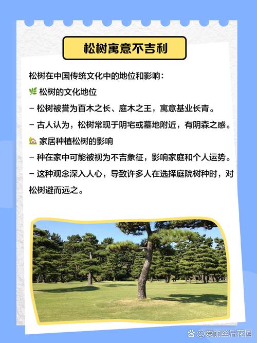 松树命代表什么意思？松树命是几等命？这命运有何特殊之处？