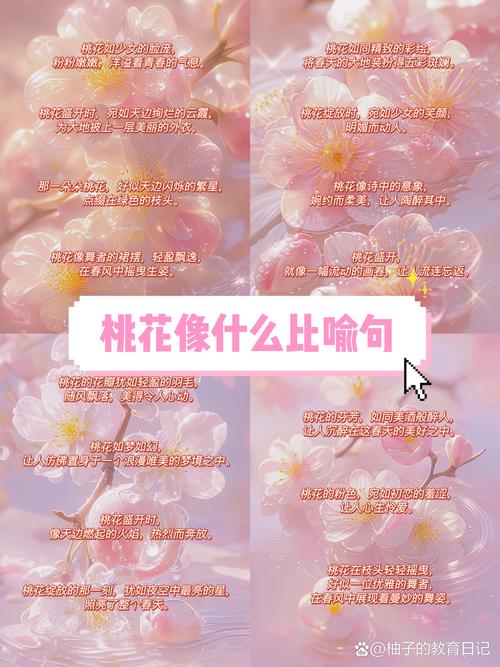 命带桃花星和命里桃花多分别代表什么，如何改写为一个长尾关键词？