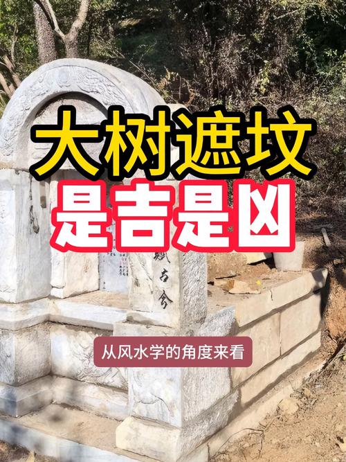 墓地风水为何忌讳周围种植树木？